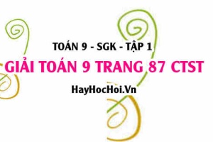 Giải Toán 9 trang 87 tập 1 Chân trời sáng tạo SGK